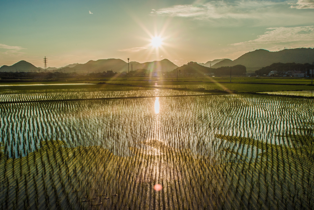 夕陽に輝く引水Ⅱ