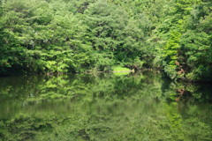 奥山三ツ池の上池（緑）
