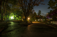 夜の岐阜公園（菊花祭り）