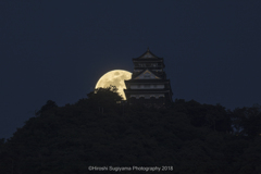 岐阜城と月