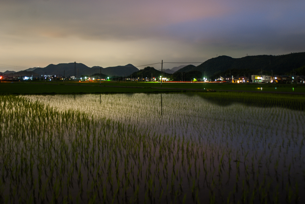 梅雨時の夕暮れ①