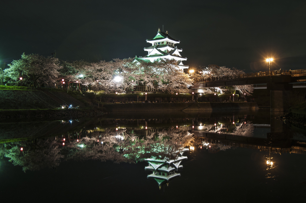 一夜城の夜桜