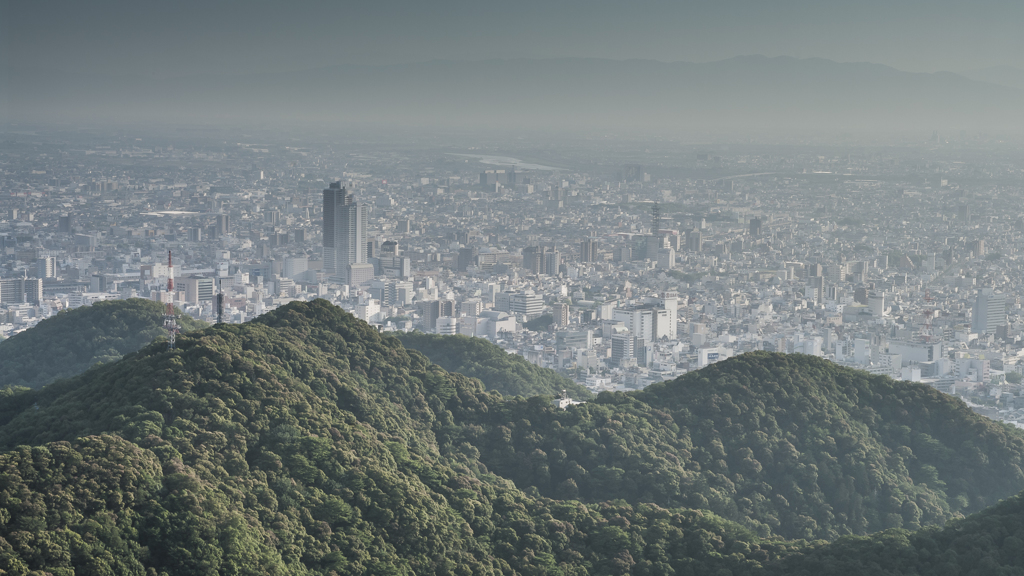 Gifu city 2014 