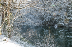 中池の雪景色①