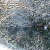 中池の雪景色①