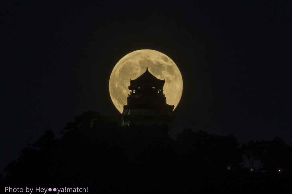 真夏の夜の夢Ⅱ