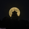 真夏の夜の夢Ⅱ