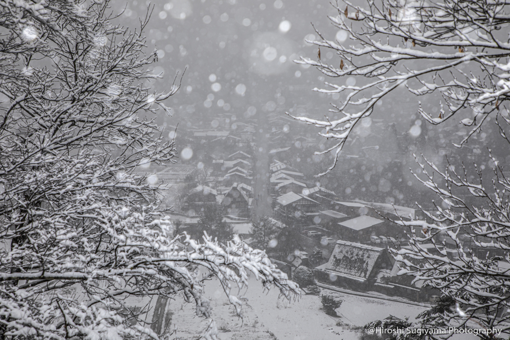 白川郷（なごり雪Ⅲ）