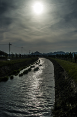 緑の回廊