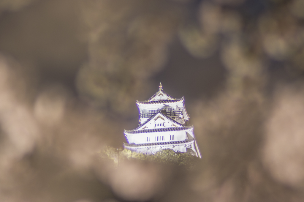 春まといⅡ