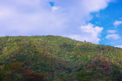 国道沿いの秋山