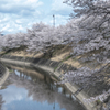 新境川堤防②