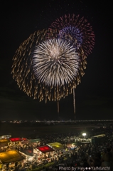 濃尾大花火・・・夏の風物詩（８号花火）