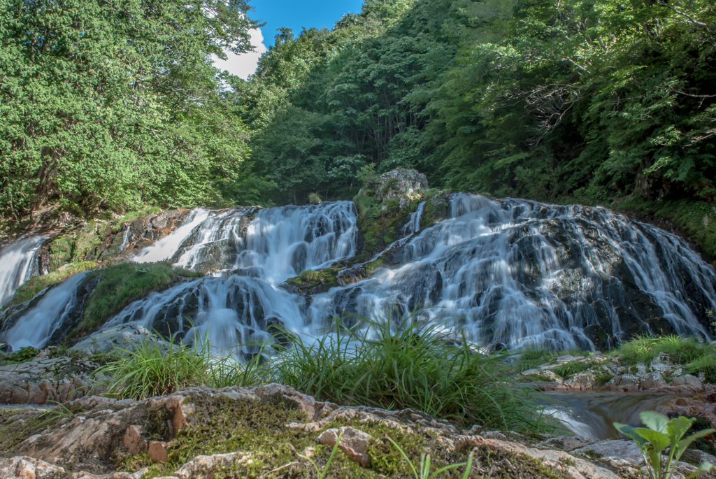 荘川の夏、魚帰りの滝（横）