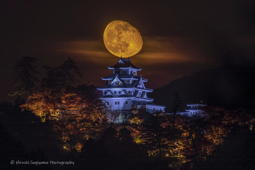 郡上八幡城と寝待月（紅葉ライトアップ）