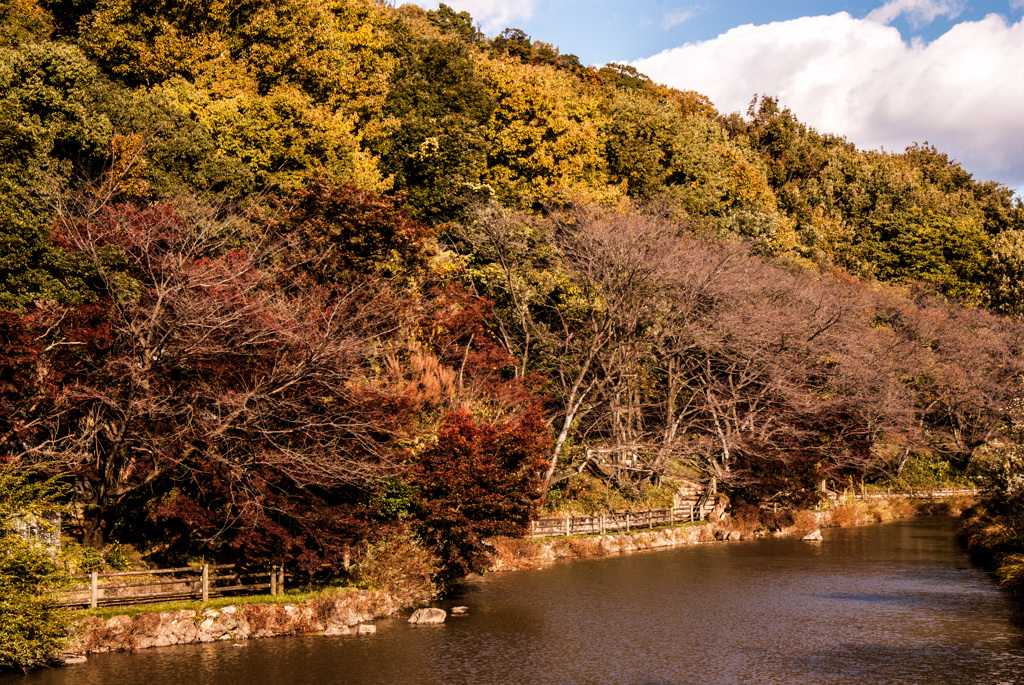 三井池遊歩道①