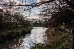 三井池の遊歩道⑤