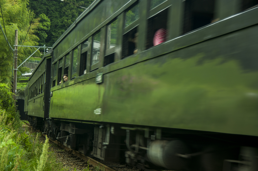 大井川鉄道～田野口付近④