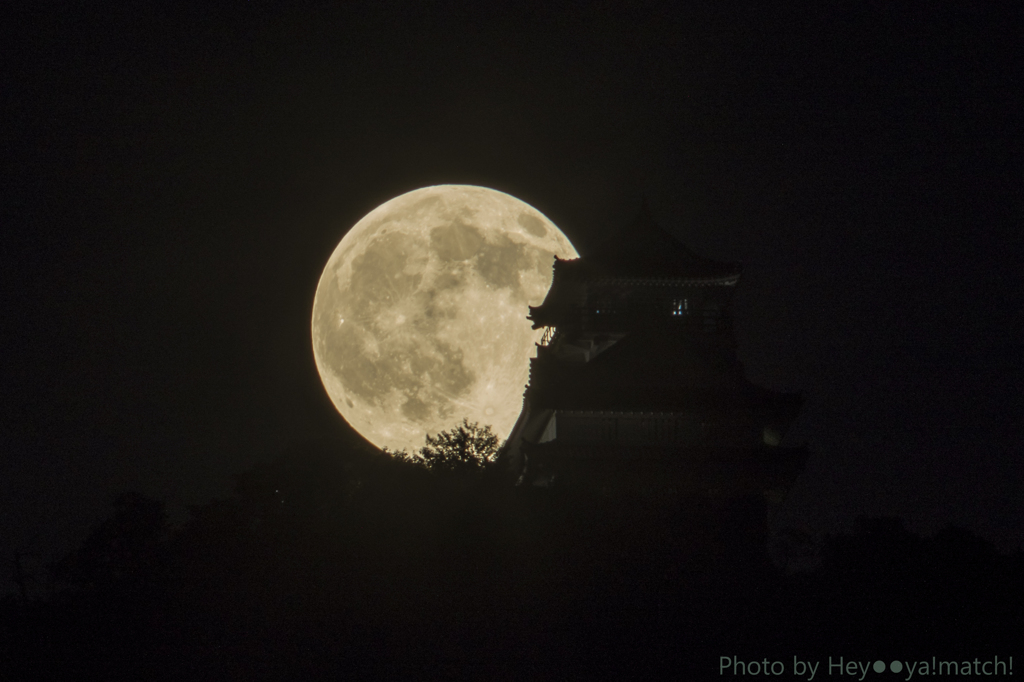 真夏の夜の夢Ⅲ