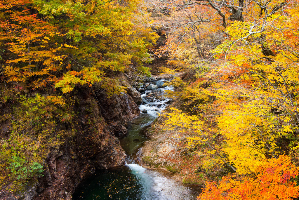 紅葉⑦荘川まとば橋