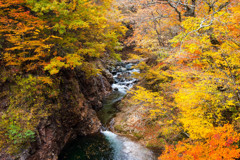 紅葉⑦荘川まとば橋