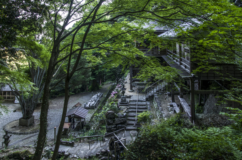 新緑の舞台寺