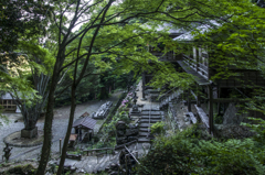 新緑の舞台寺