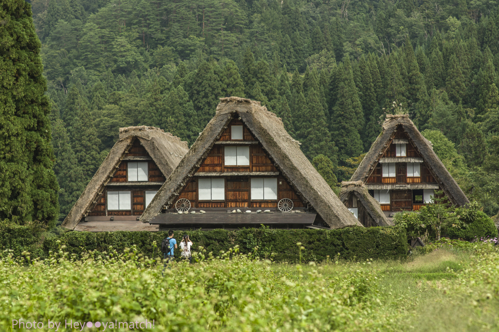 世界遺産「白川郷」2016秋