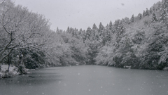 雪景色（上池全景）