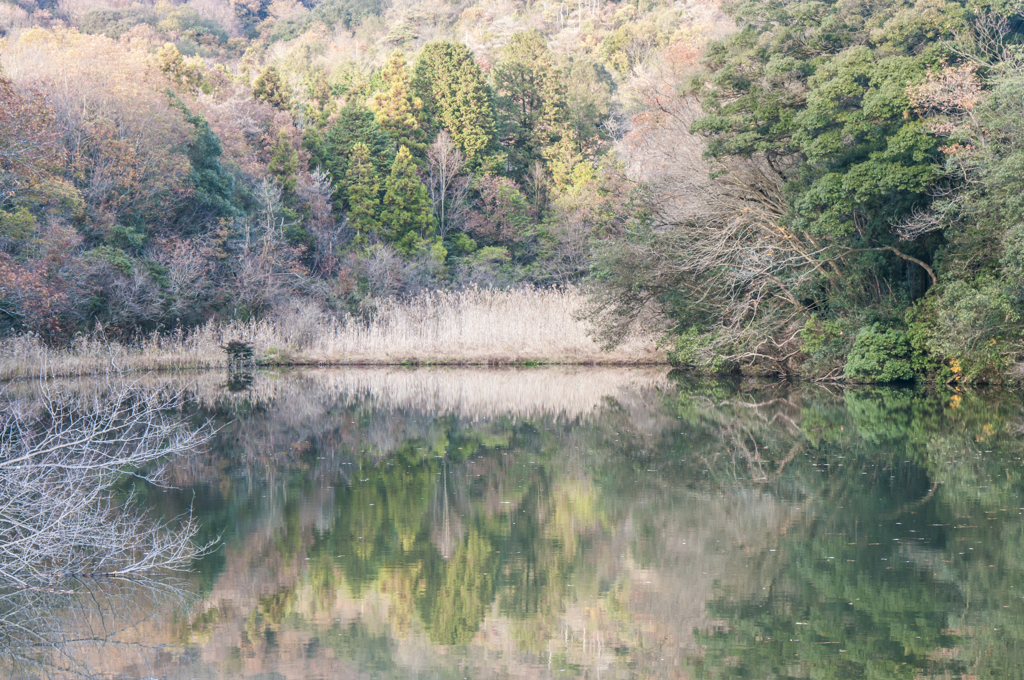 八幡池（秋彩）