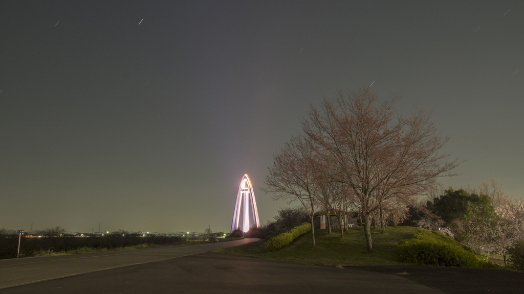 138タワーと夜桜