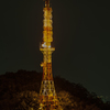 上加納山電波中継タワー