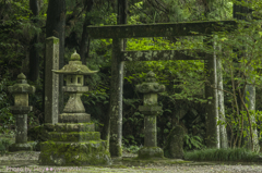 白髭の鳥居