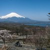 山中湖、富士と桜とヘアピンカーブ