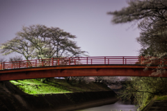 新境川に架かる三井龍神橋と堤防の桜木