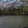 さざなみの花模様