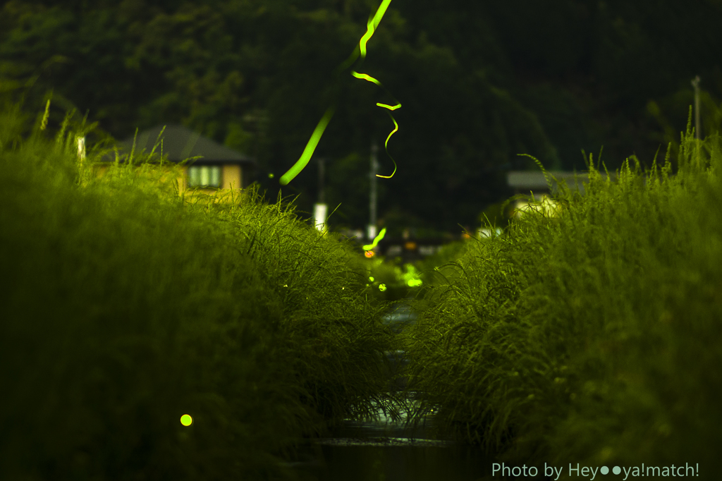 やまびこ水路にて