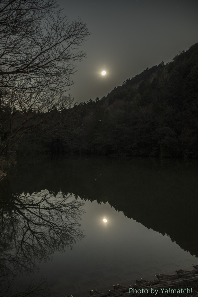 上弦の月夜