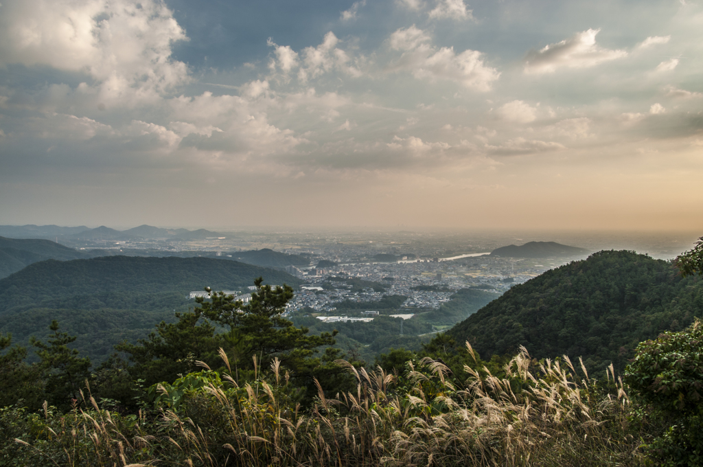 里山の秋