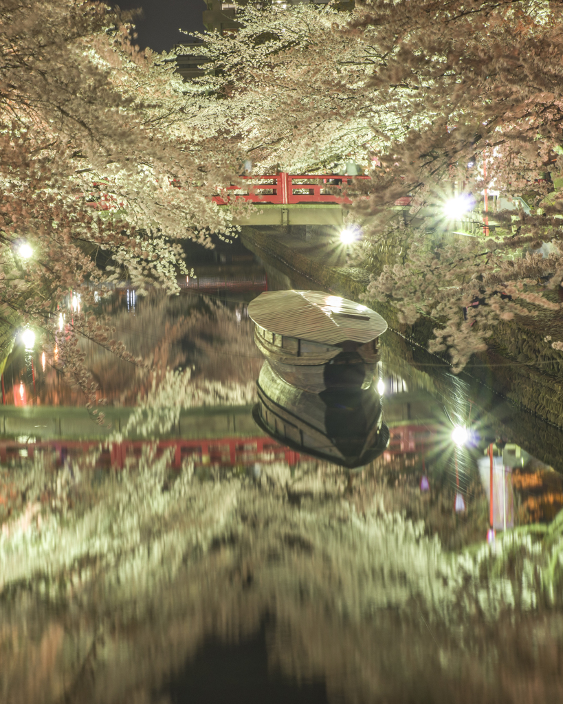 奥の細道むすびの夜桜