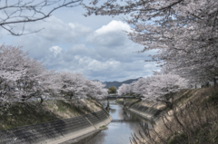 新境川堤防①