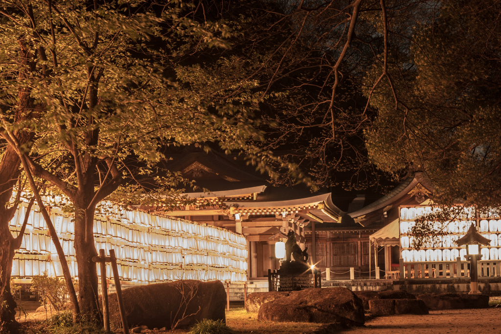 護国神社は提灯いっぱい2013