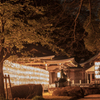 護国神社は提灯いっぱい2013