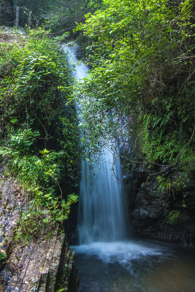 萩の滝（下流の大滝）