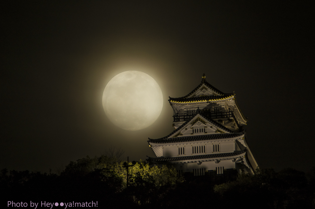 おぼろ月夜に