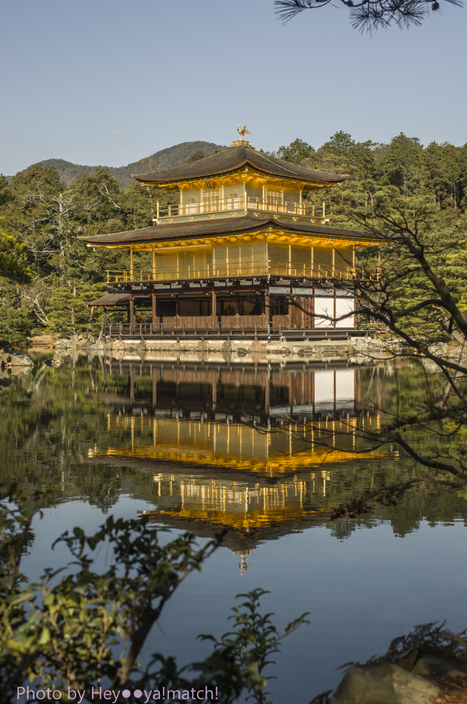 鹿苑寺