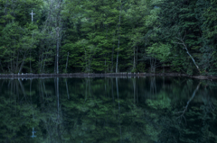 下池の水鏡Ⅱ