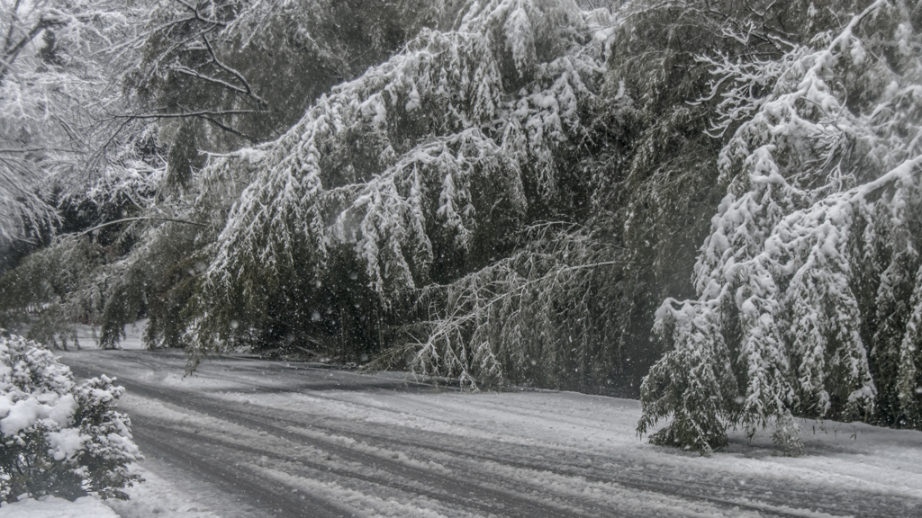 雪景色（下池駐車場側道）