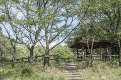 新緑の奥山三ツ池（下池）東屋