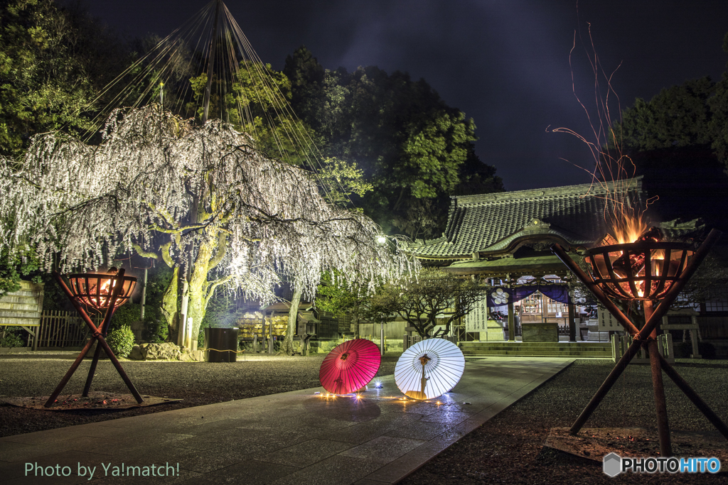 長良天神にて（和傘見参）